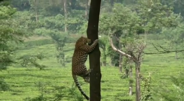 Bar e Restaurante Bom Sabor