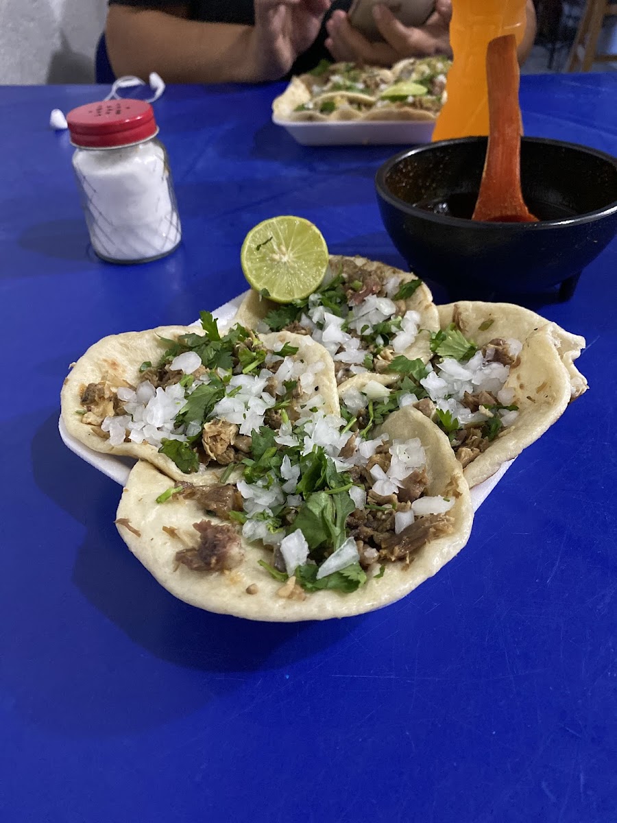 Taquería Gelos