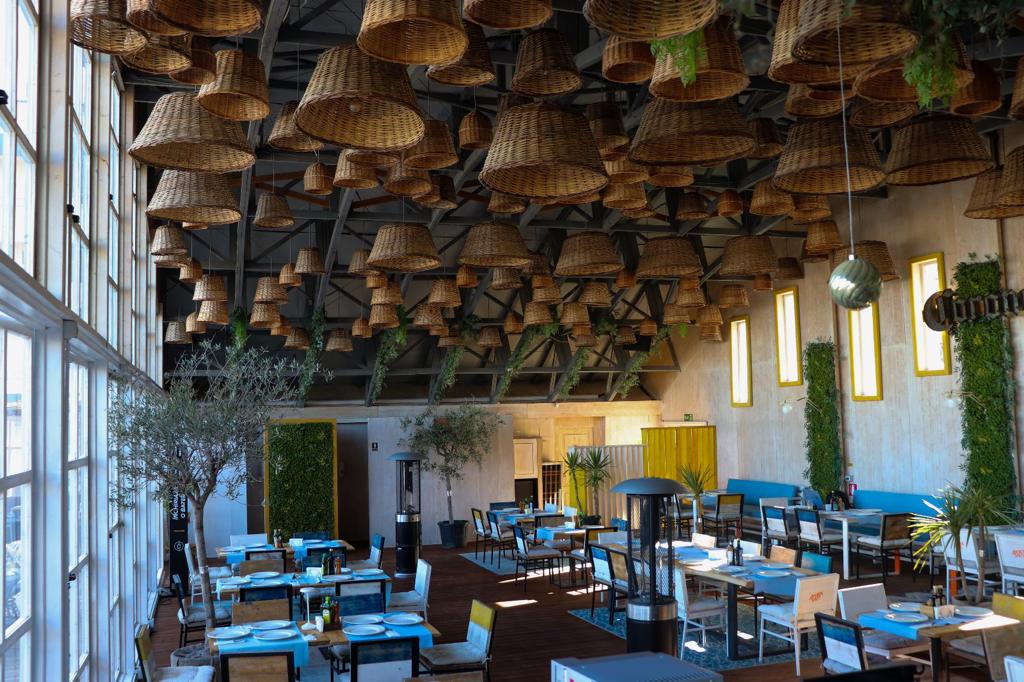 Mackerel Mamaia Nord