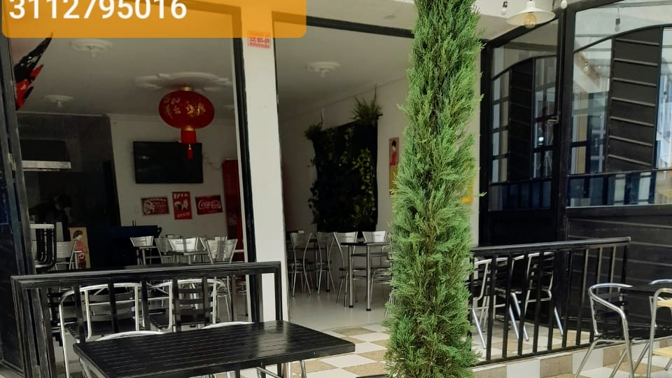 Cheng Yuan Wok & Burguer